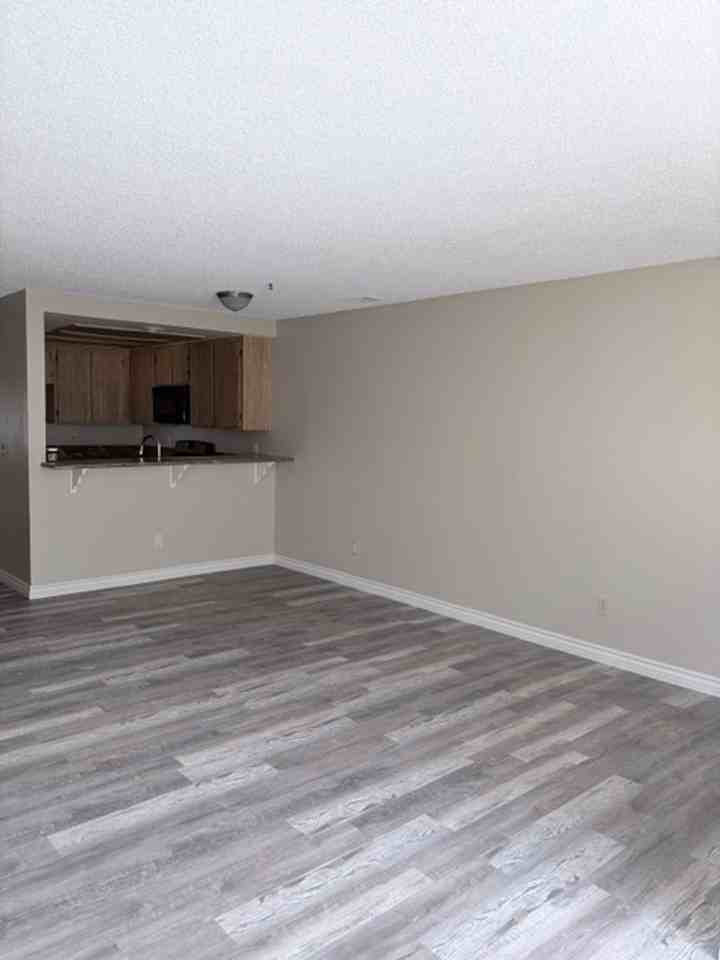 377 Puente - Photo 4 of 26