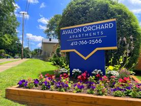 AVALON ORCHARD -- 309 - Photo 1 of 1