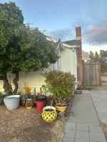 featured image of 454 School St