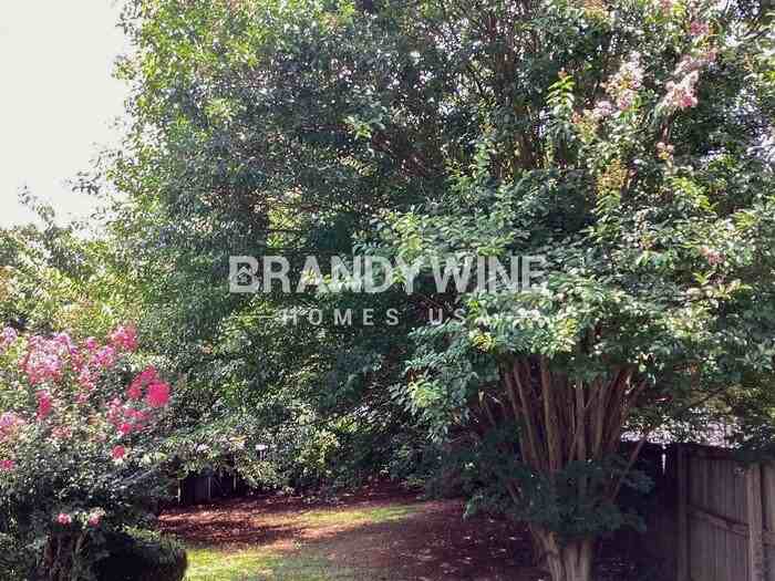 406 Sunny Field Ct - Photo 6 of 9