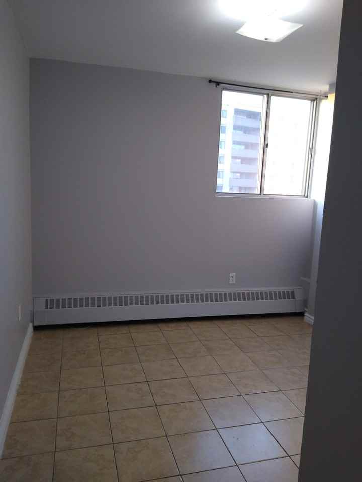 100 Dundalk Drive - Photo 10