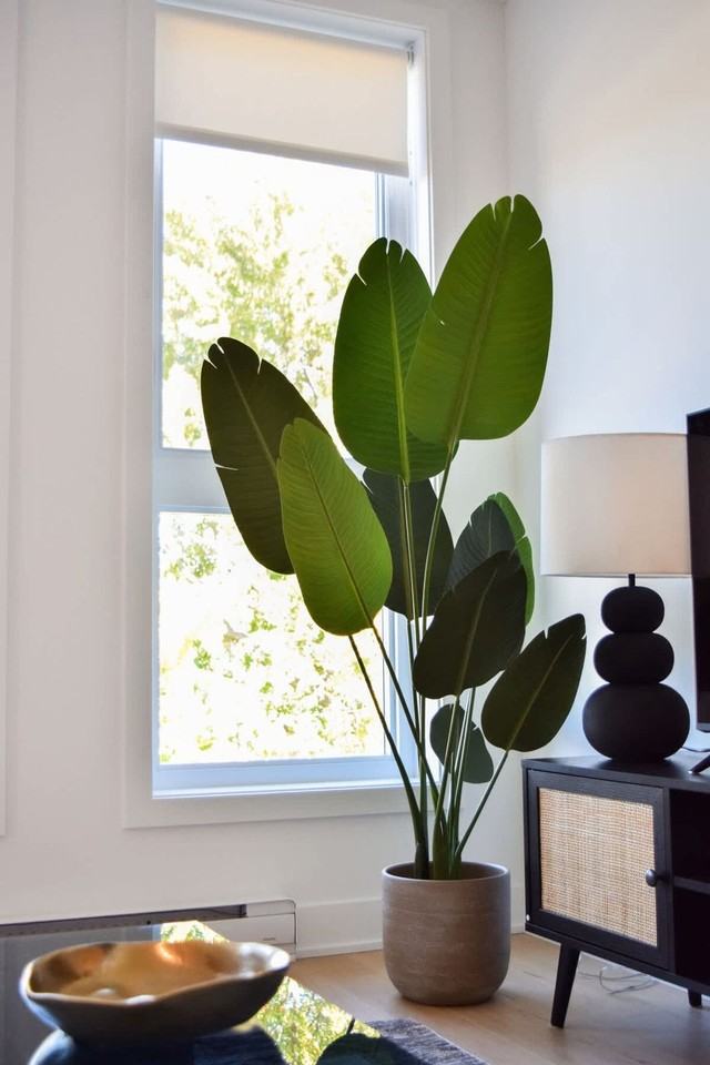 2110 Rue Bercy - Photo 3 of 17