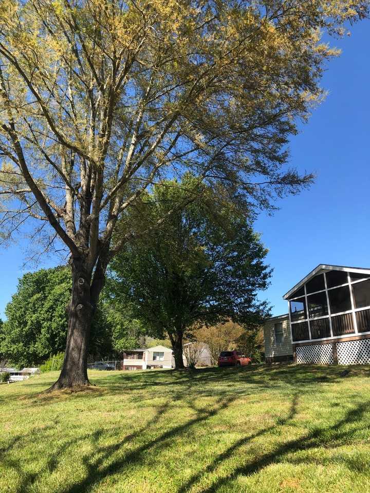 1305 Ewing Dr - Photo 3 of 25