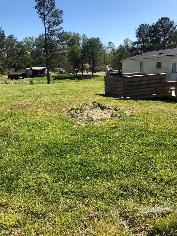 1305 Ewing Dr - Photo 5 of 25