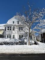 featured image of 308 County St #3