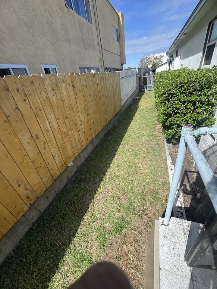 613 3rd Ave #B - Photo 4 of 6