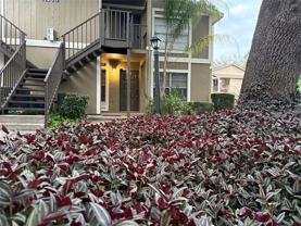 14317 Hanging Moss Cir #101 - Photo 1 of 1