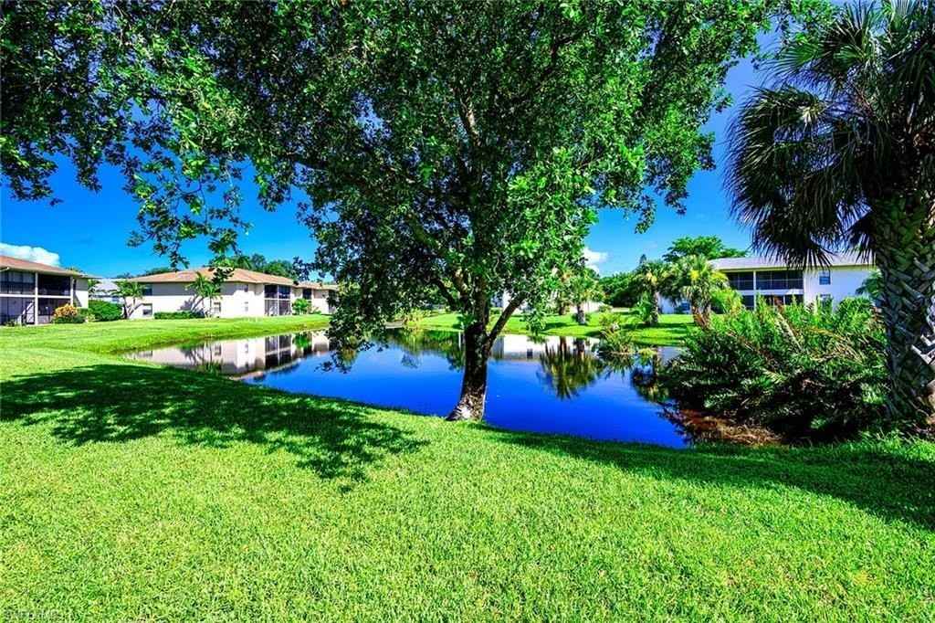 135 Cypress Way E #C - Photo 6 of 26