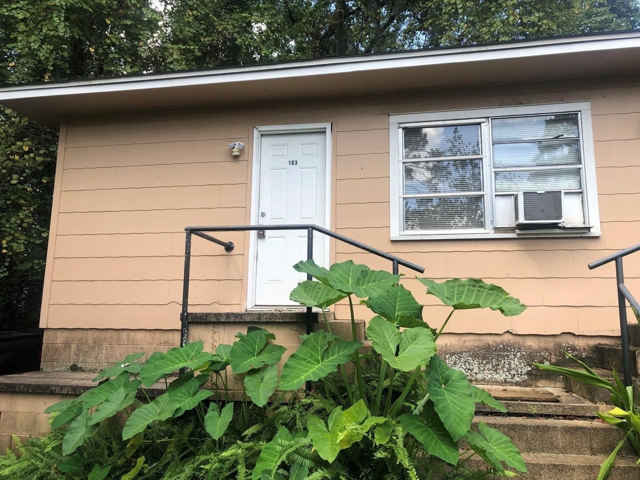 545 E Call St #103