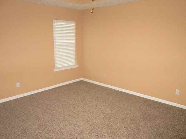 610 Freedom Ct - Photo 6 of 7