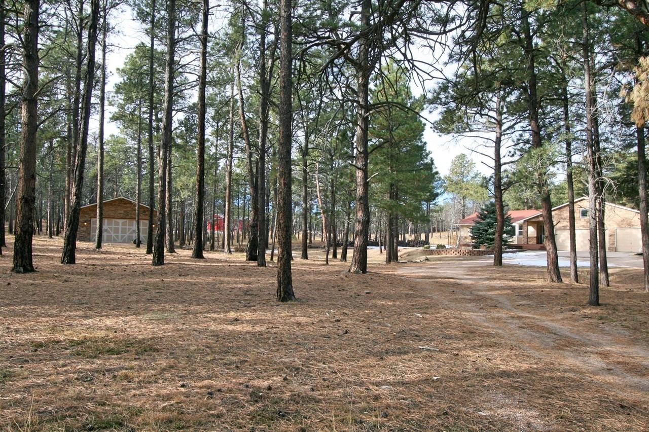 12240 Lazy H Way - Photo 2 of 30
