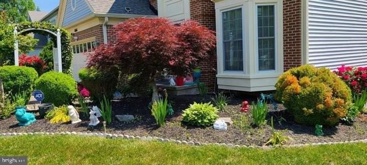 11601 Lighthouse Dr - Photo 3 of 21
