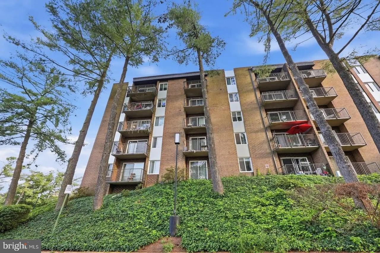 60 S Van Dorn St #202