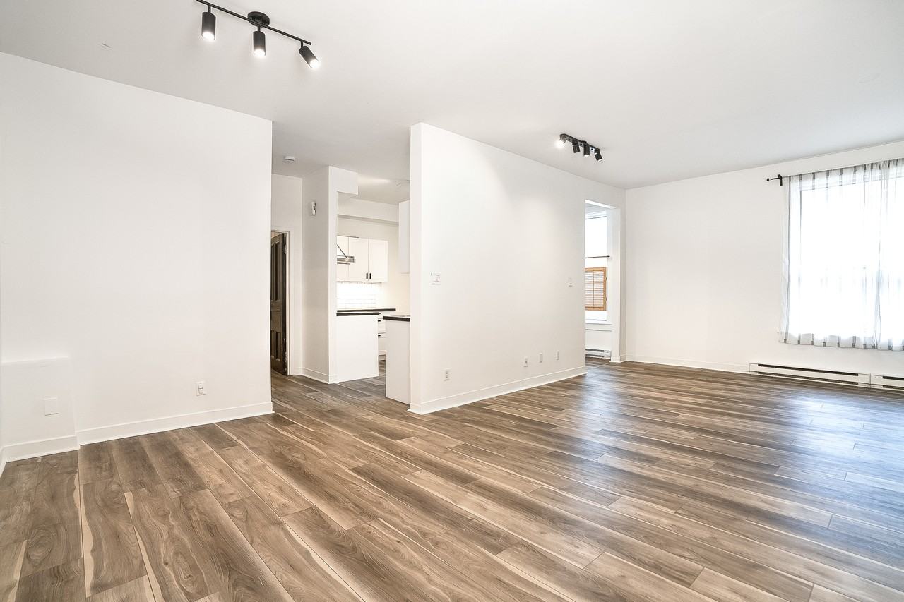 4850 Avenue Henri-Julien - Photo 6 of 28