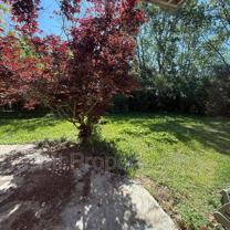 4130 Eldorado Ct - Photo 1 of 1