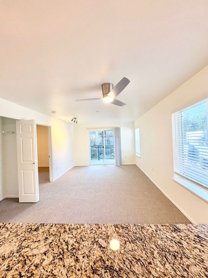 Nelson Apartments - Photo 4 of 33