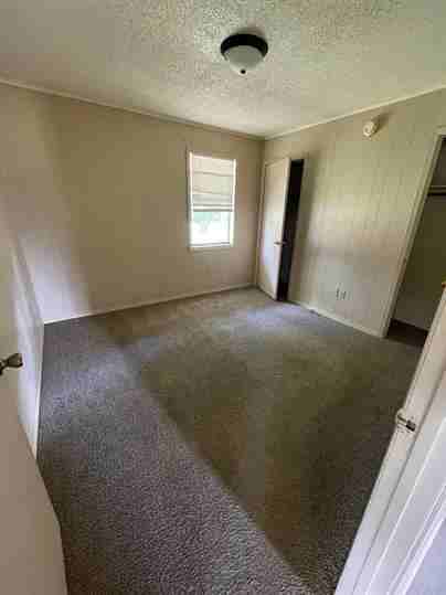 191 Roellen Newbern Road - Photo 6 of 8
