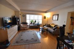 77 Marion St #301 - Photo 1 of 1