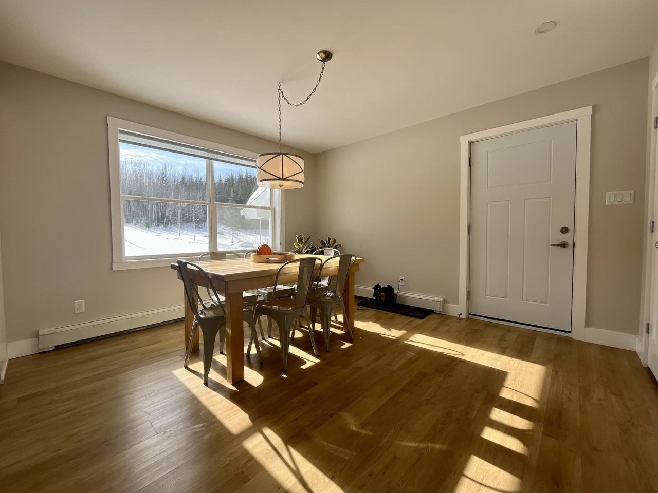 901 Dog Lake Rd - Photo 4 of 21