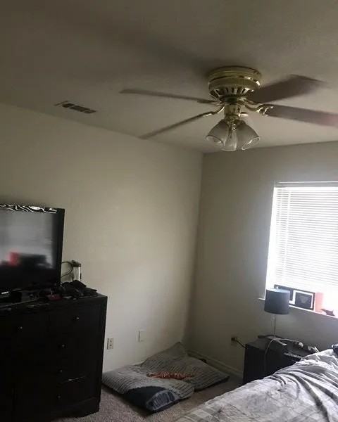 3751 Oldenburg Ln #3751 - Photo 7 of 8