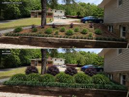 featured image of 436 Lillian Dr #NA