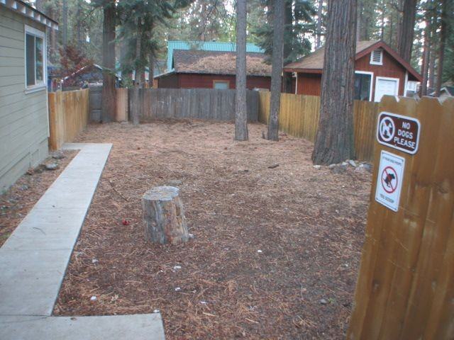 8652 Golden Ave #3 - Photo 6 of 19