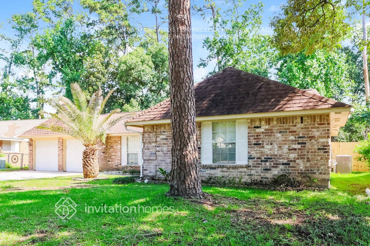 3426 Bristlecone Trl - Photo 3 of 17