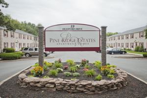 featured image of 19 Bradford Dr