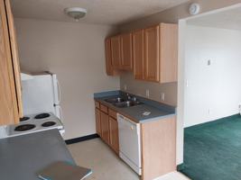 featured image of 345 N 5th St ##61