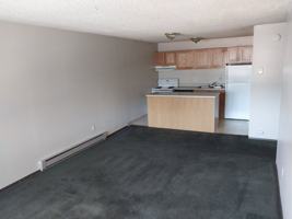 featured image of 1920 Arthur St ##29