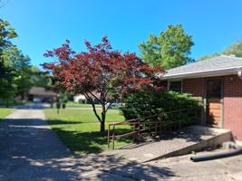 featured image of 131 Tranquil Trl