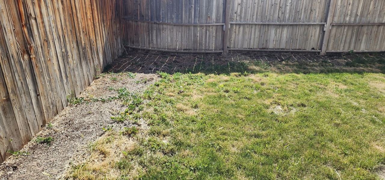 2990 Krista St - Photo 5 of 14