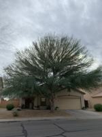featured image of 2009 E Lipizzan Dr