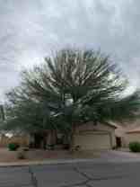 2009 E Lipizzan Dr - Photo 1 of 1
