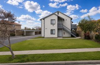 TAMARIND - 8582-8598 - BLUE - Photo 1 of 1