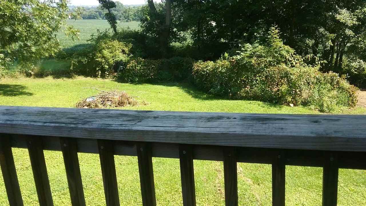 309 Camp Ground Rd - Photo 7 of 14