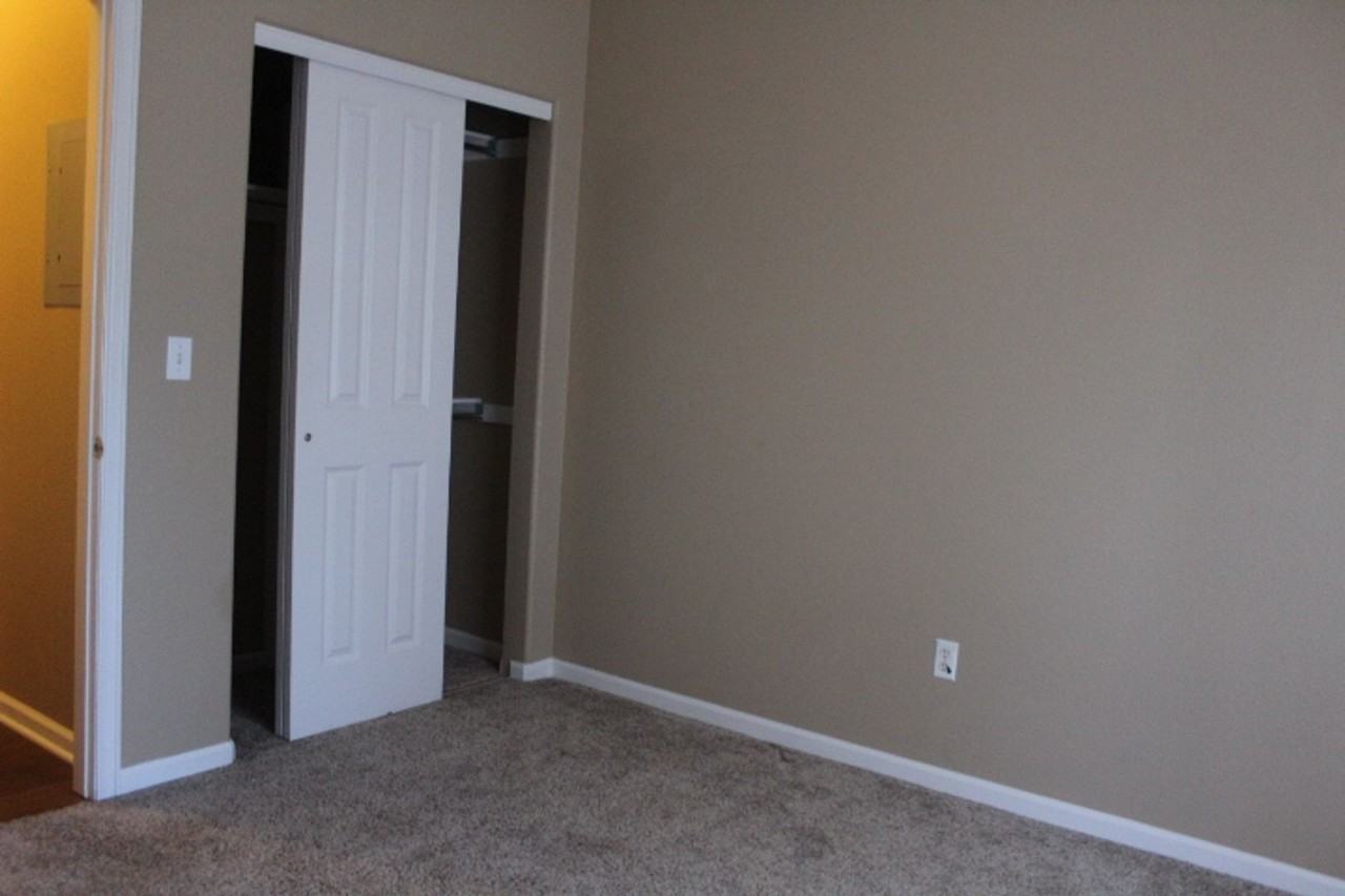 7429 S Alkire St #206 - Photo 5 of 17