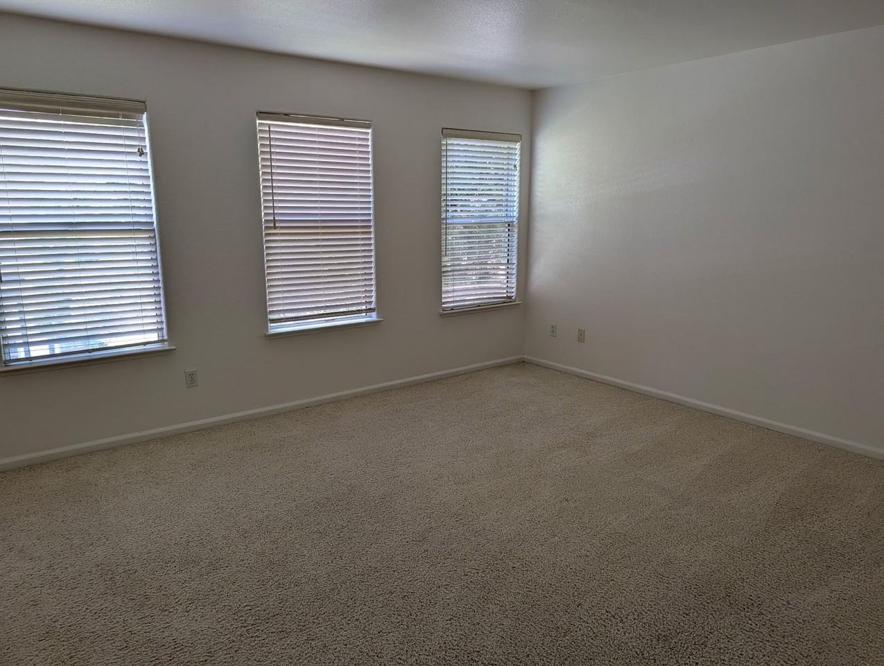 505 Diamond Creek Ct - Photo 4 of 8