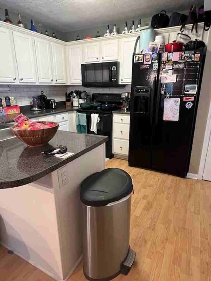 2464 Checkerberry Dr - Photo 4 of 15