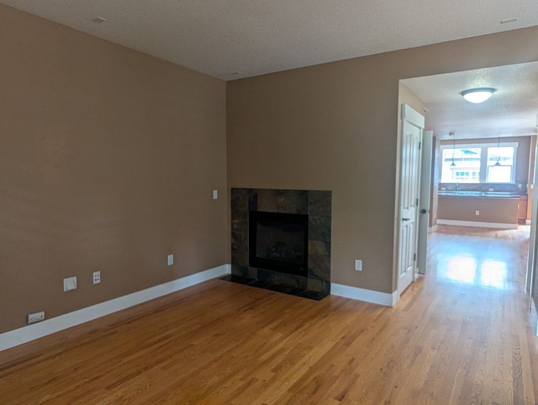 1166 S Sherman St - Photo 5 of 49