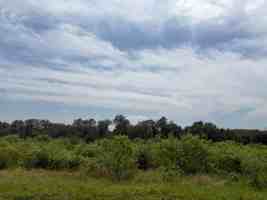 featured image of 1020 Vista View Dr ##1201