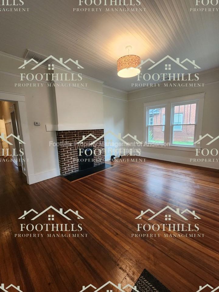 1208 W Whitner St - Photo 2 of 19