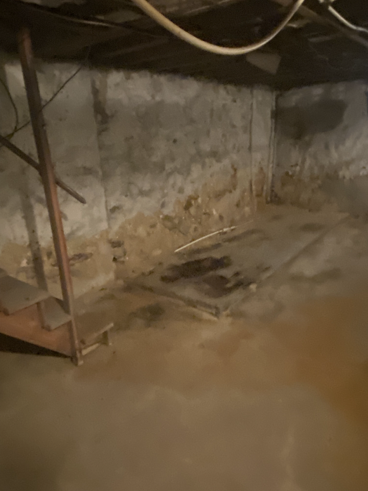 5630 Pemberton St 1st Fl - Photo 2 of 27