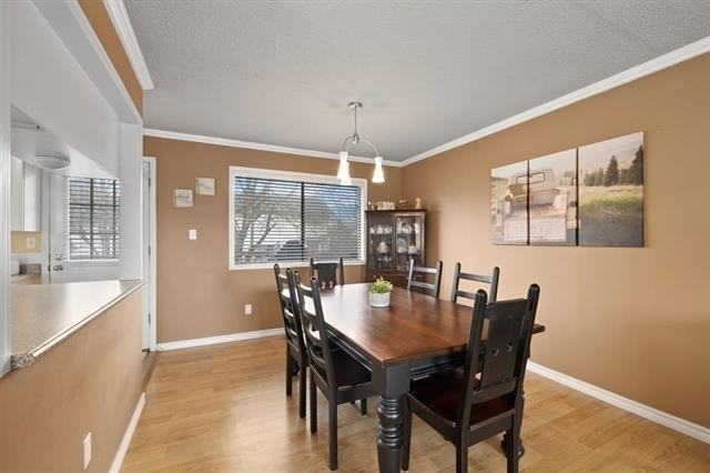 9383 212B Street #1 - Photo 6 of 20