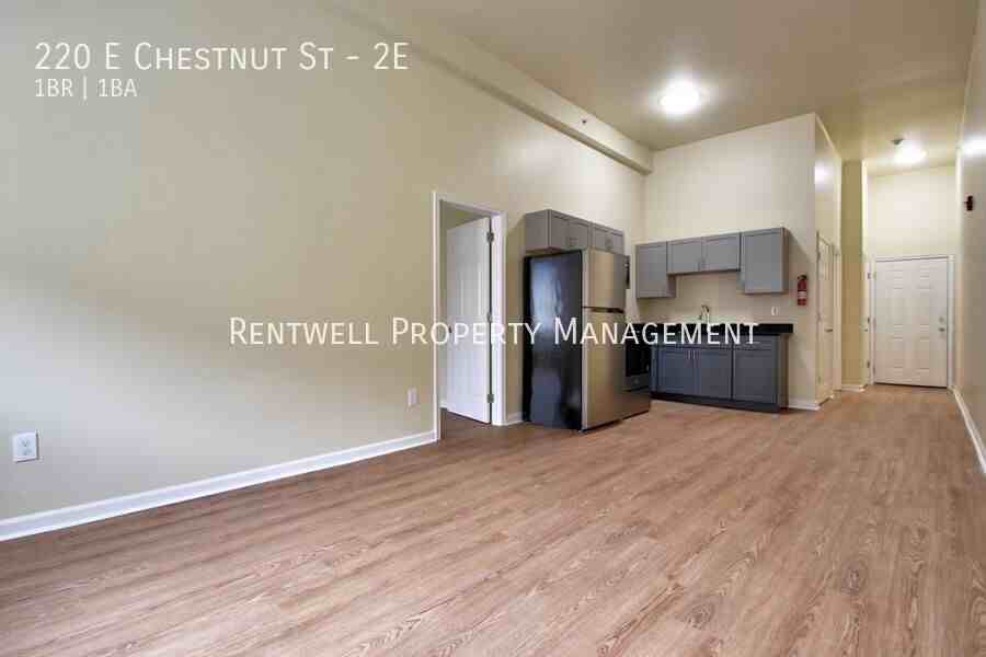 220 E Chestnut St #2E - Photo 3 of 14