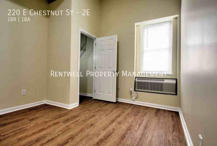 220 E Chestnut St #2E - Photo 5 of 14
