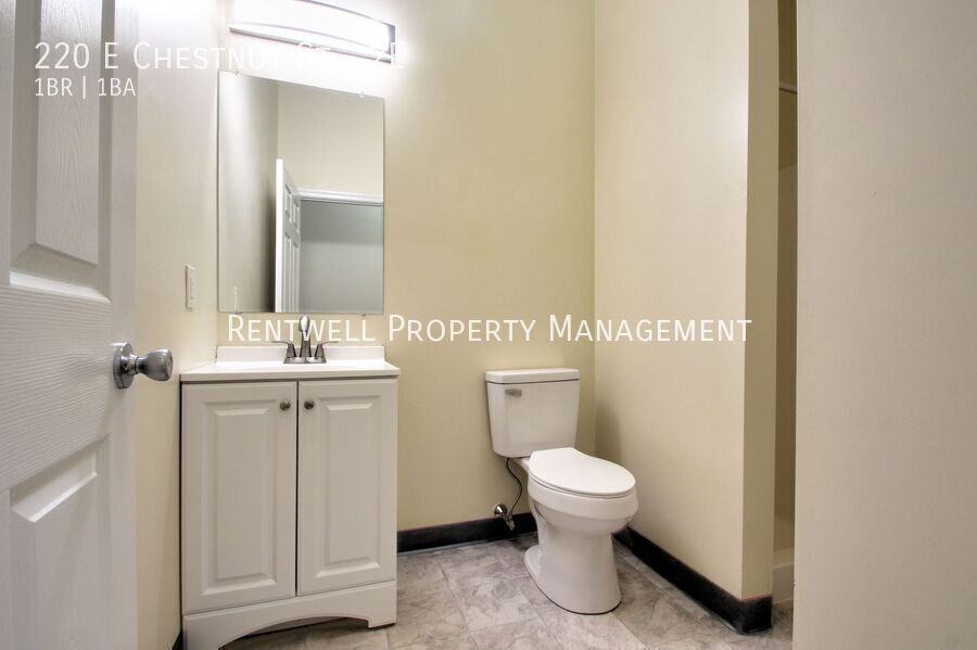 220 E Chestnut St #2E - Photo 6 of 14
