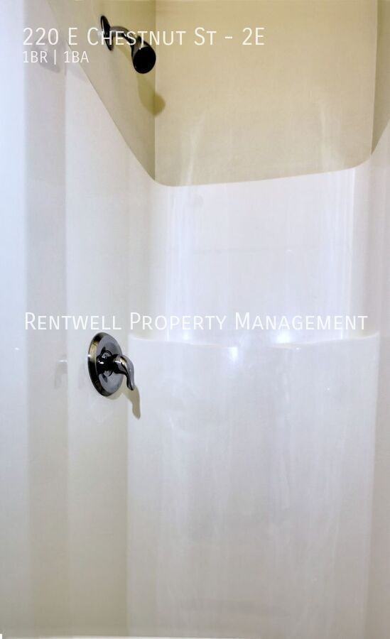 220 E Chestnut St #2E - Photo 7 of 14