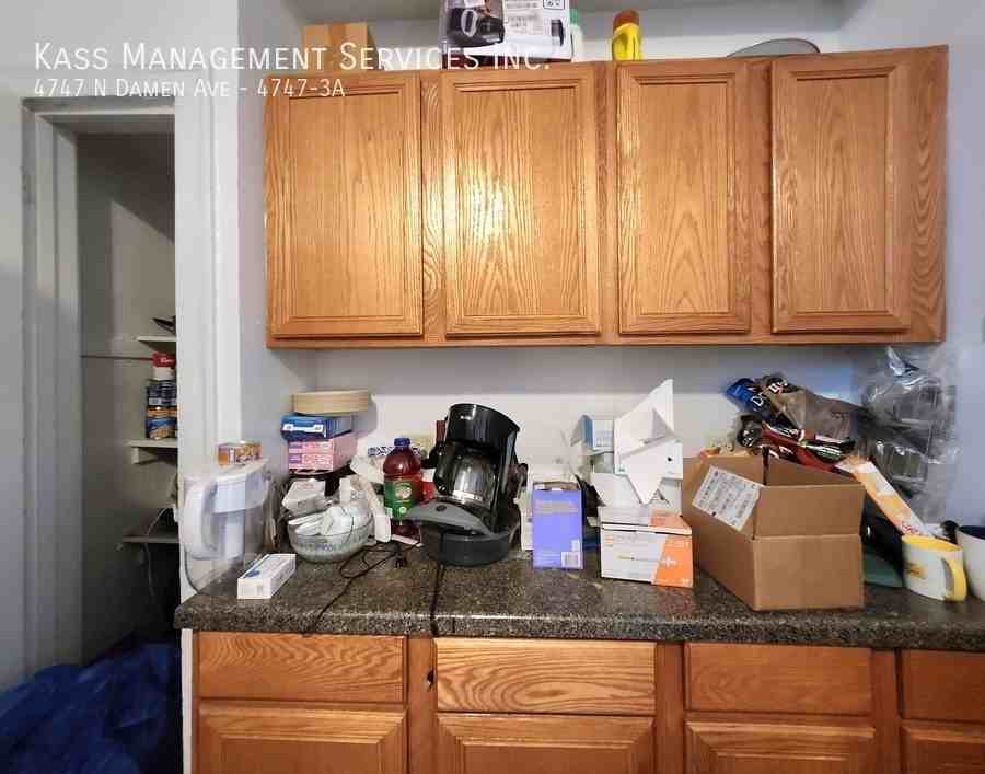 4747 N Damen Ave #4747-3A - Photo 3 of 15