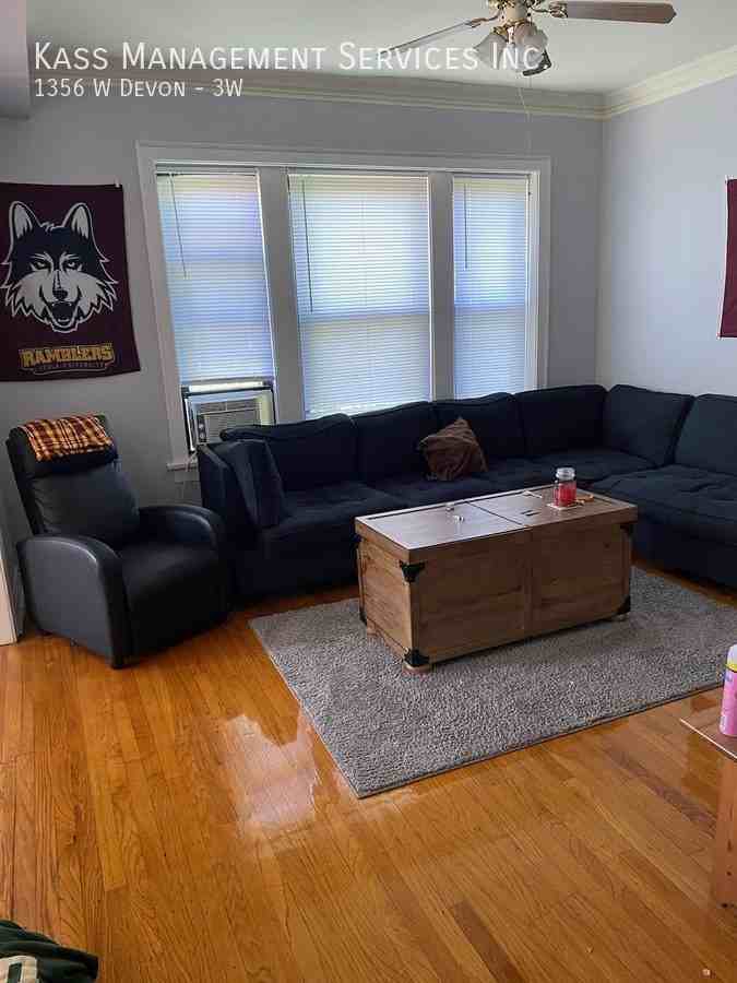 1356 W Devon Ave #3W - Photo 6 of 13